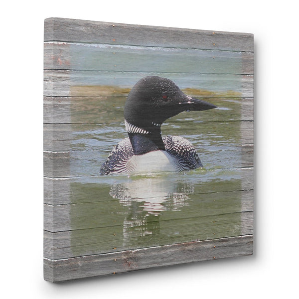 Afternoon Swim - Loon Lake Canvas Print - Jennifer Ditterich Designs