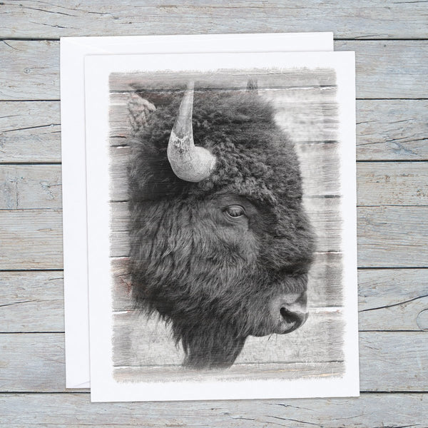 Bison Note Cards - Jennifer Ditterich Designs