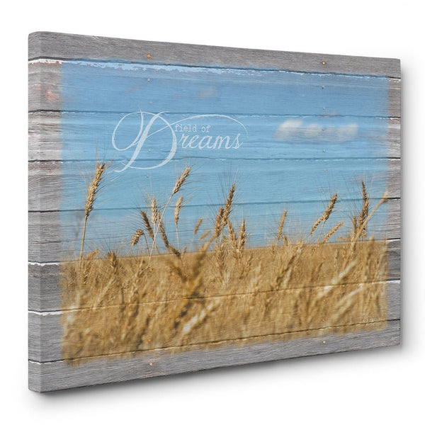 Field of Dreams Canvas Print - Jennifer Ditterich Designs