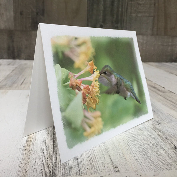 Hummingbird Note Cards - Jennifer Ditterich Designs