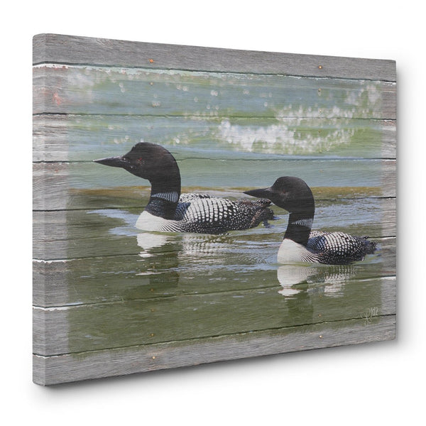 Loons on the Lake Canvas Print - Jennifer Ditterich Designs