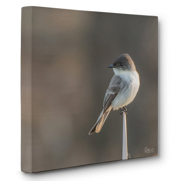 Sitting Pretty - Canvas Bird Print - Jennifer Ditterich Designs