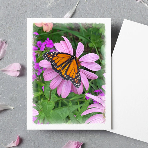 Monarch Butterfly Boxed Note Card Set - Jennifer Ditterich Designs