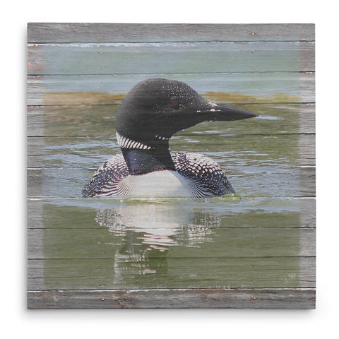 Afternoon Swim - Loon Lake Canvas Print - Jennifer Ditterich Designs