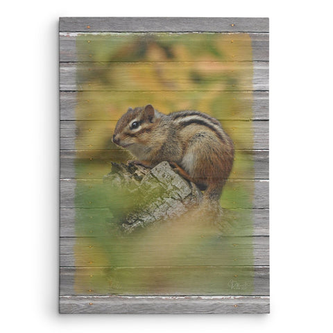 Autumn Chipmunk - Jennifer Ditterich Designs
