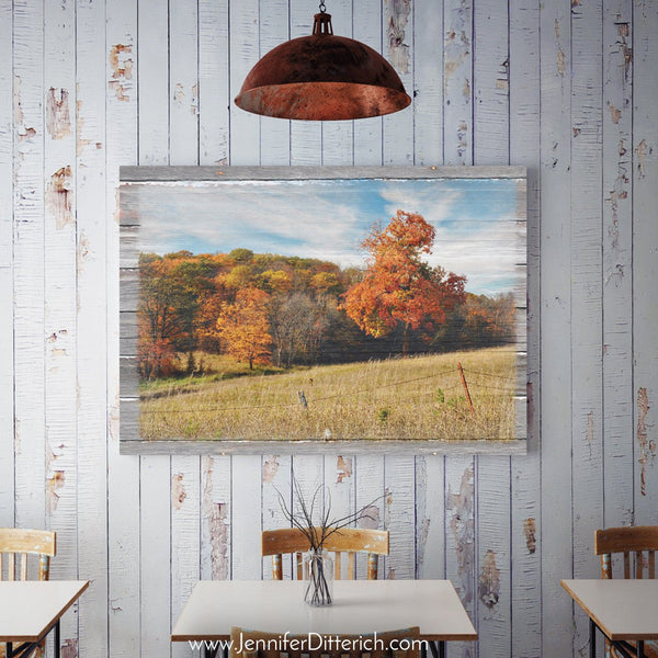 Autumn Countryside Canvas Print - Jennifer Ditterich Designs