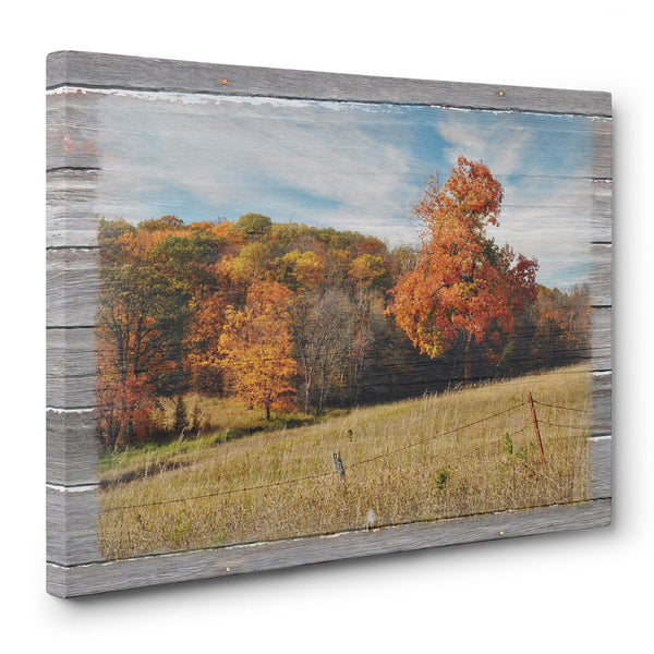 Autumn Countryside Canvas Print - Jennifer Ditterich Designs