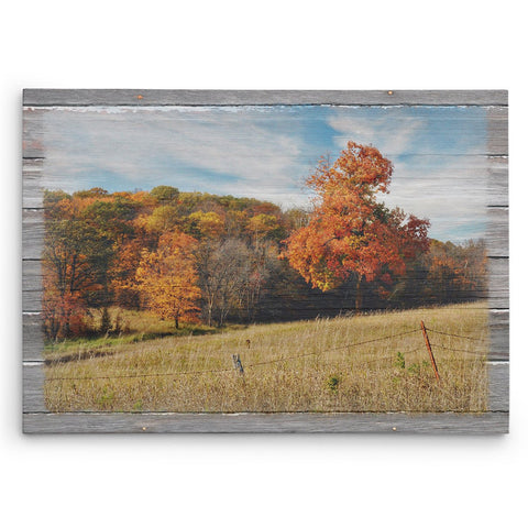 Autumn Countryside Canvas Print - Jennifer Ditterich Designs