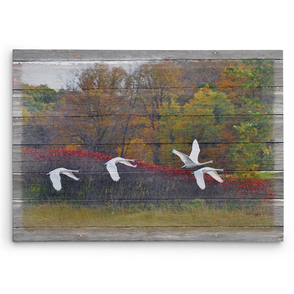 Autumn Flight Canvas Print - Jennifer Ditterich Designs