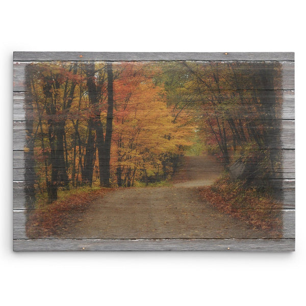 Autumn Road Fall Canvas Picture - Jennifer Ditterich Designs