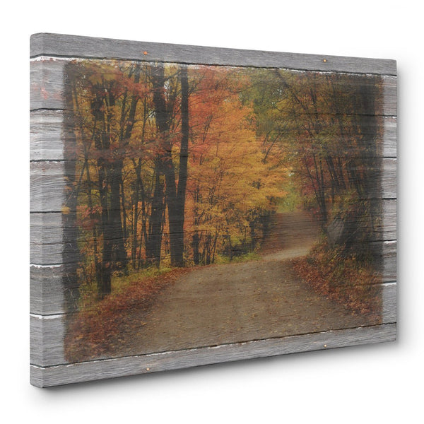 Autumn Road Fall Canvas Picture - Jennifer Ditterich Designs