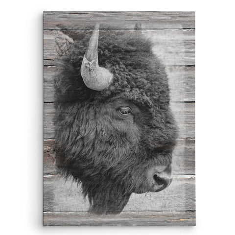 Badlands Bison Canvas Print - Jennifer Ditterich Designs