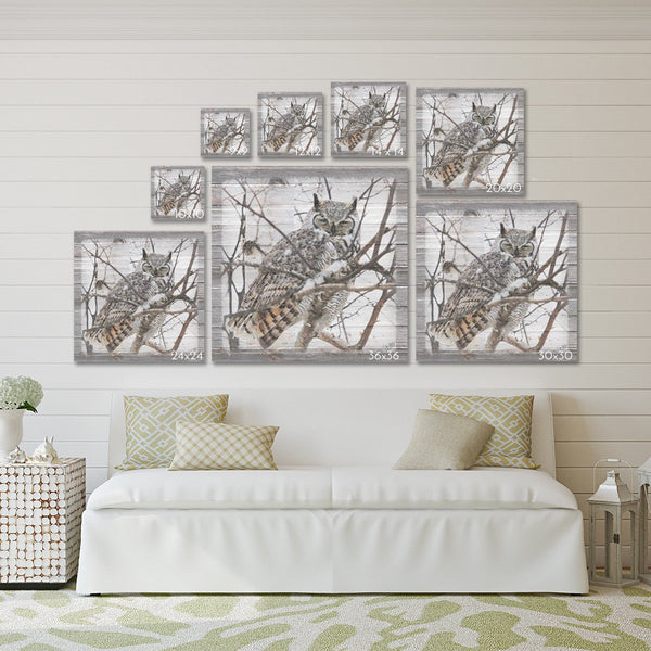 Barred Owl Canvas Print - Jennifer Ditterich Designs