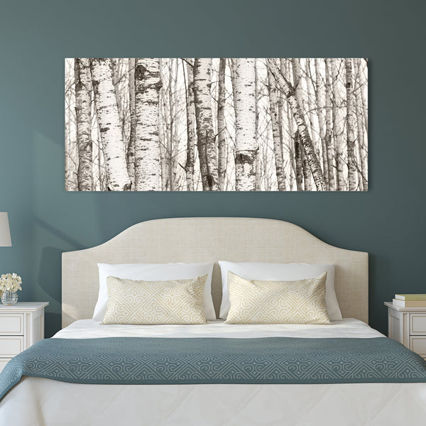 Birch Tree Canvas Print - Jennifer Ditterich Designs