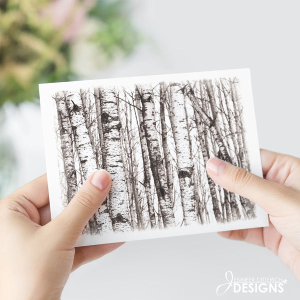 Birch Trees Note Card Set - Jennifer Ditterich Designs