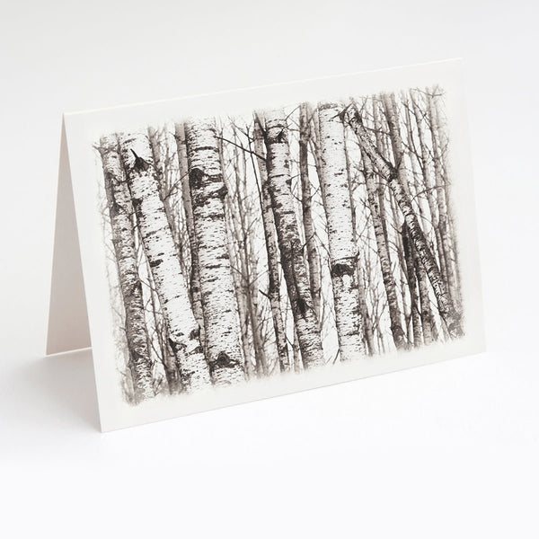 Birch Trees Note Card Set - Jennifer Ditterich Designs