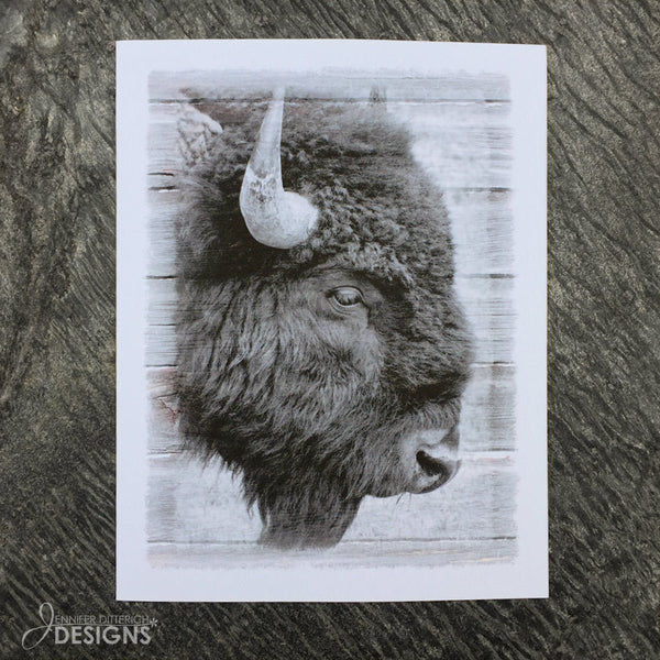Bison Note Cards - Jennifer Ditterich Designs