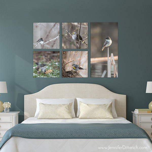 Enchanted View - Canvas Bird Print - Jennifer Ditterich Designs