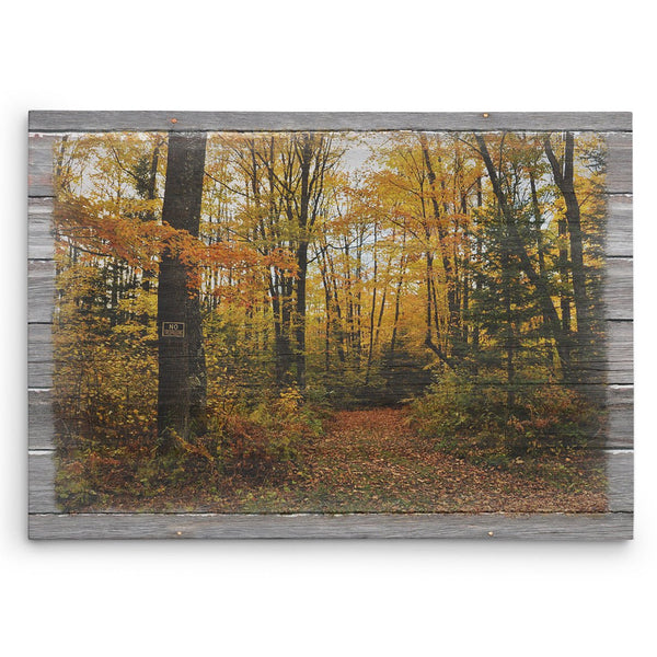Forbidden Trail Autumn Canvas Print - Jennifer Ditterich Designs