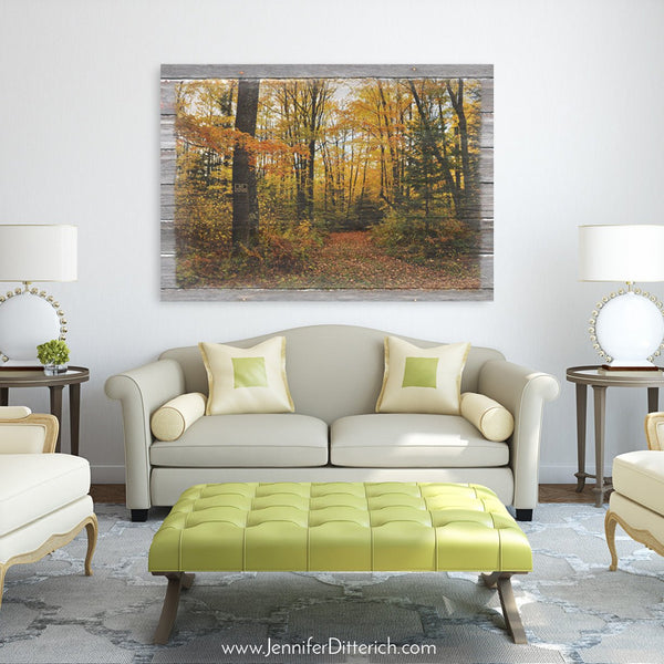 Forbidden Trail Autumn Canvas Print - Jennifer Ditterich Designs