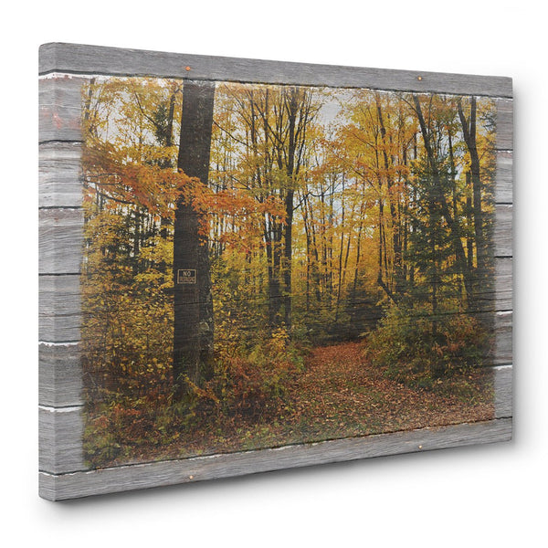 Forbidden Trail Autumn Canvas Print - Jennifer Ditterich Designs