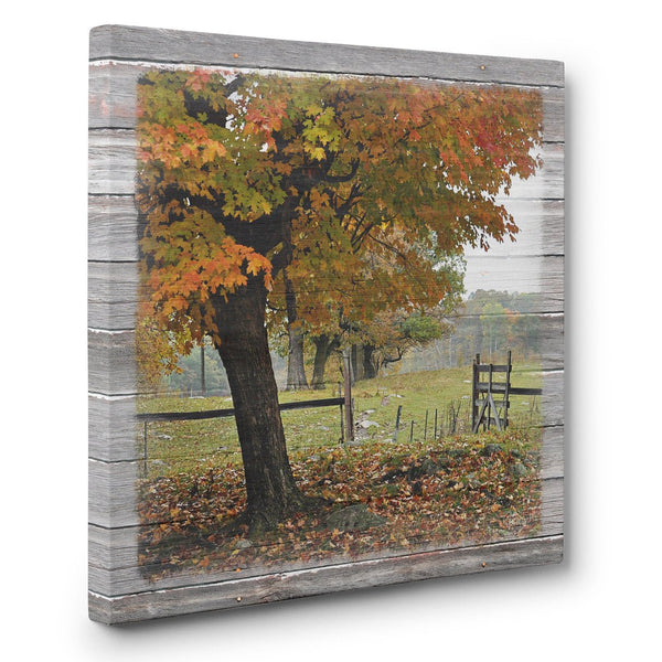 Franklin's Gate in Autumn Canvas Print - Jennifer Ditterich Designs