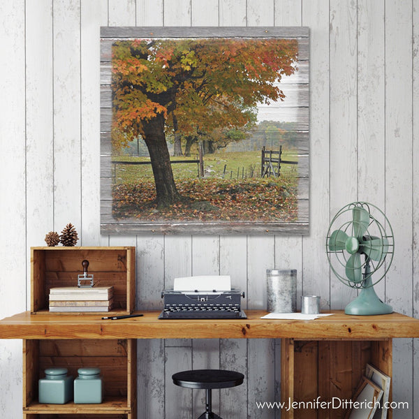 Franklin's Gate in Autumn Canvas Print - Jennifer Ditterich Designs