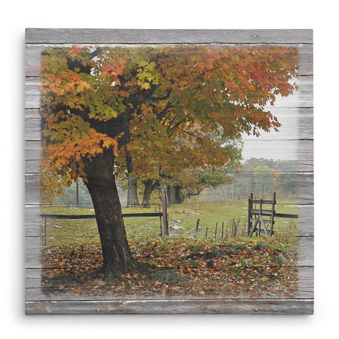 Franklin's Gate in Autumn Canvas Print - Jennifer Ditterich Designs
