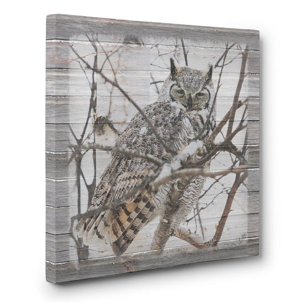 Great Horned Owl Canvas Print - Jennifer Ditterich Designs