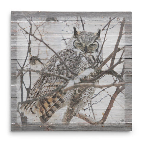 Great Horned Owl Canvas Print - Jennifer Ditterich Designs