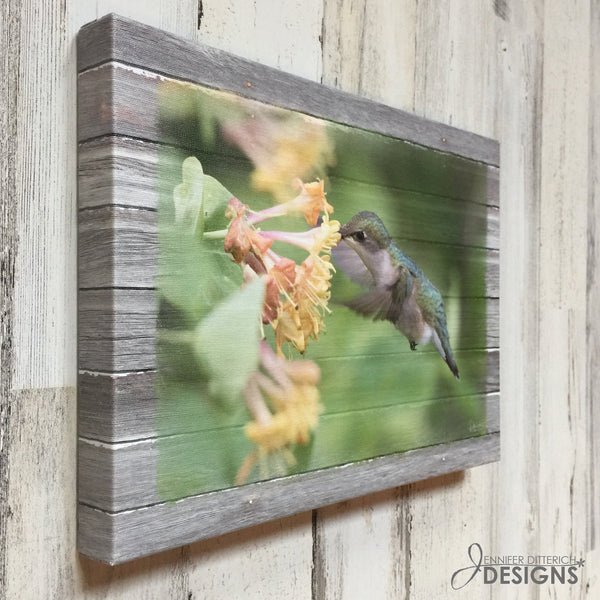 Hummingbird Canvas Print - Jennifer Ditterich Designs