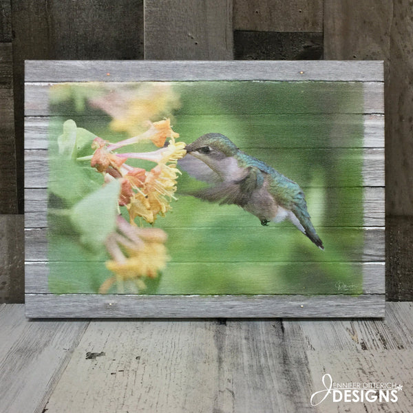 Hummingbird Canvas Print - Jennifer Ditterich Designs