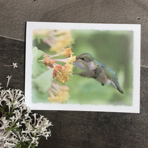 Hummingbird Note Cards - Jennifer Ditterich Designs
