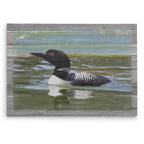 Loon on the Lake Canvas Print - Jennifer Ditterich Designs