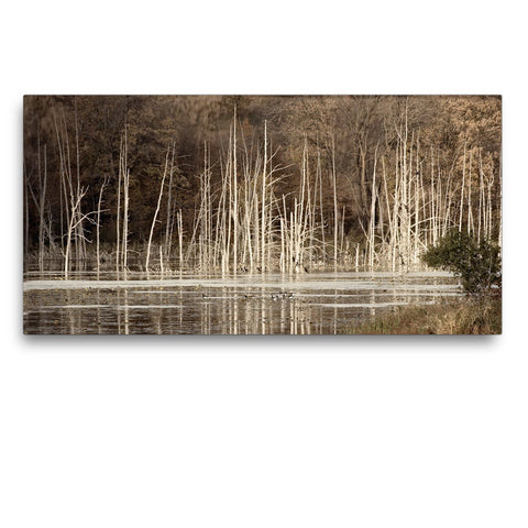 Memories of Trees Canvas Print - Jennifer Ditterich Designs
