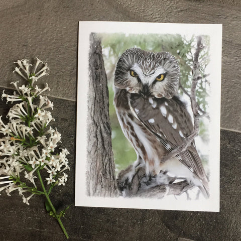 Owl Note Card Set - Jennifer Ditterich Designs