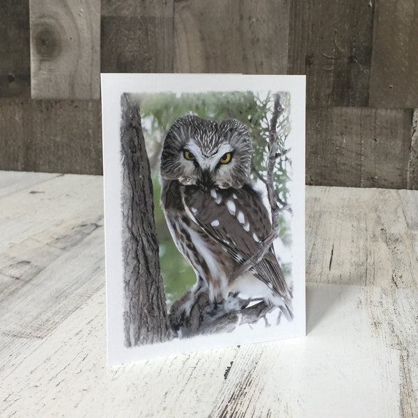 Owl Note Card Set - Jennifer Ditterich Designs
