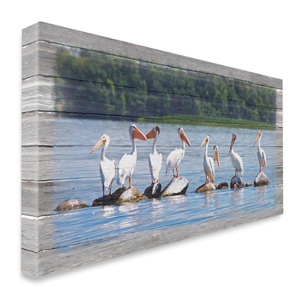 Pelican Parade Canvas Print - Jennifer Ditterich Designs