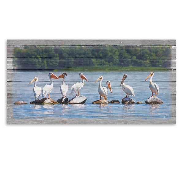 Pelican Parade Canvas Print - Jennifer Ditterich Designs