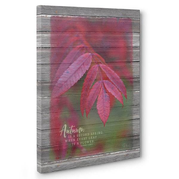 Red Autumn Leaves Canvas Print - Jennifer Ditterich Designs
