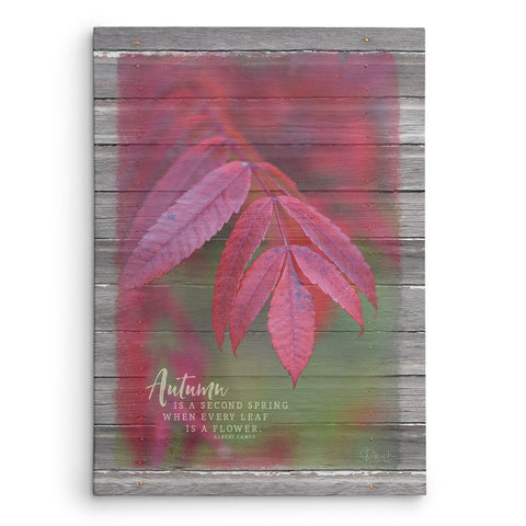 Red Autumn Leaves Canvas Print - Jennifer Ditterich Designs
