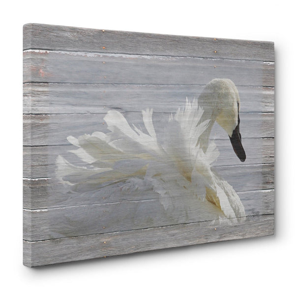 Ruffled Feathers Swan Canvas Print - Jennifer Ditterich Designs