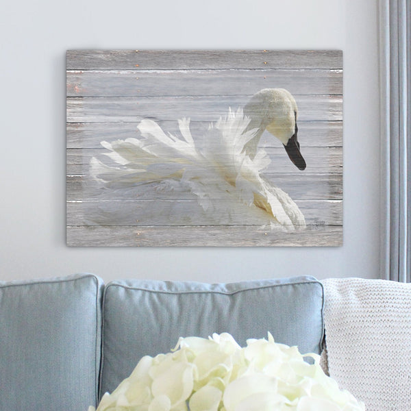 Ruffled Feathers Swan Canvas Print - Jennifer Ditterich Designs