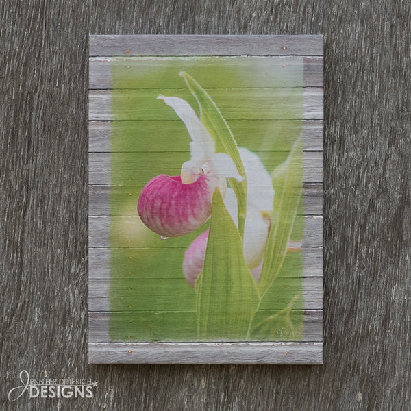 Showy Lady's Slipper Canvas Print - Jennifer Ditterich Designs