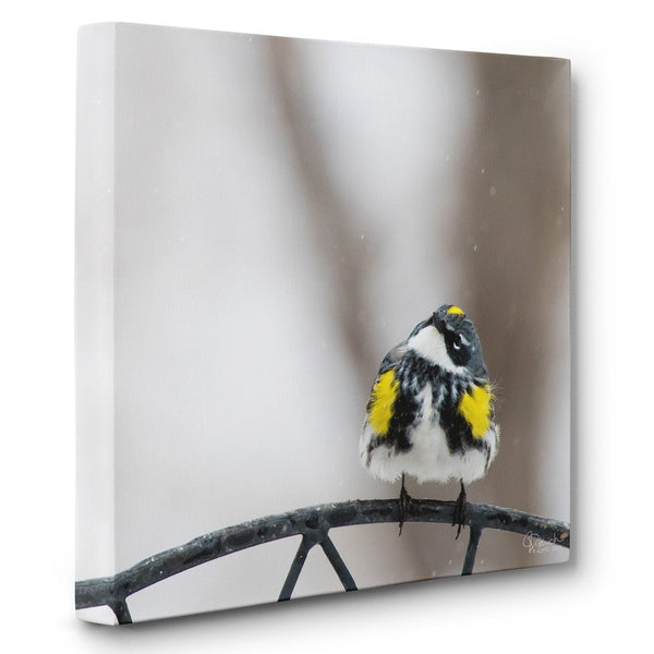 Watching It Snow - Canvas Bird Print - Jennifer Ditterich Designs