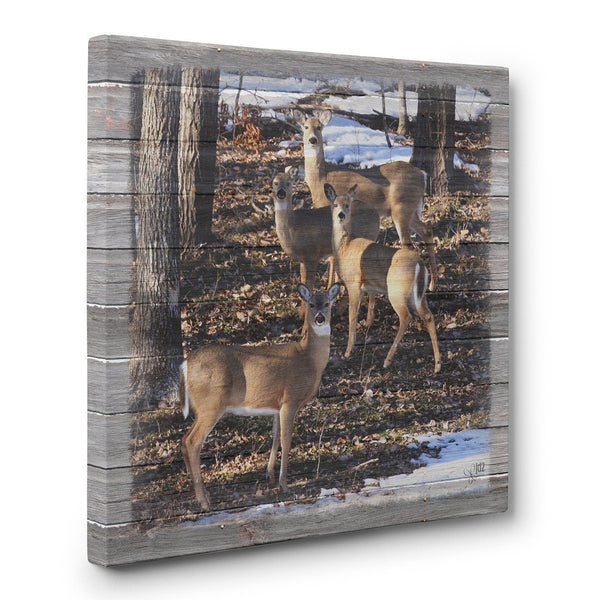 Whitetail Deer Family Canvas Print - Jennifer Ditterich Designs