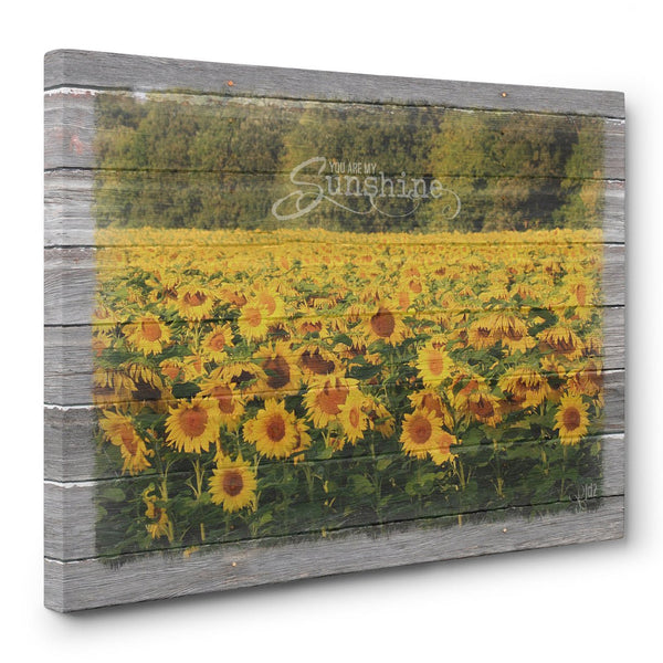 You Are My Sunshine Canvas Print - Jennifer Ditterich Designs