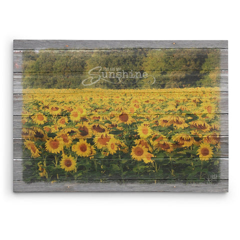 You Are My Sunshine Canvas Print - Jennifer Ditterich Designs