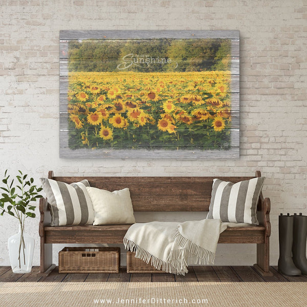 You Are My Sunshine Canvas Print - Jennifer Ditterich Designs